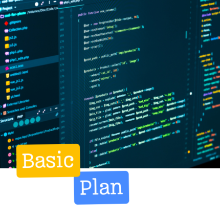 Web Development Basic Plan